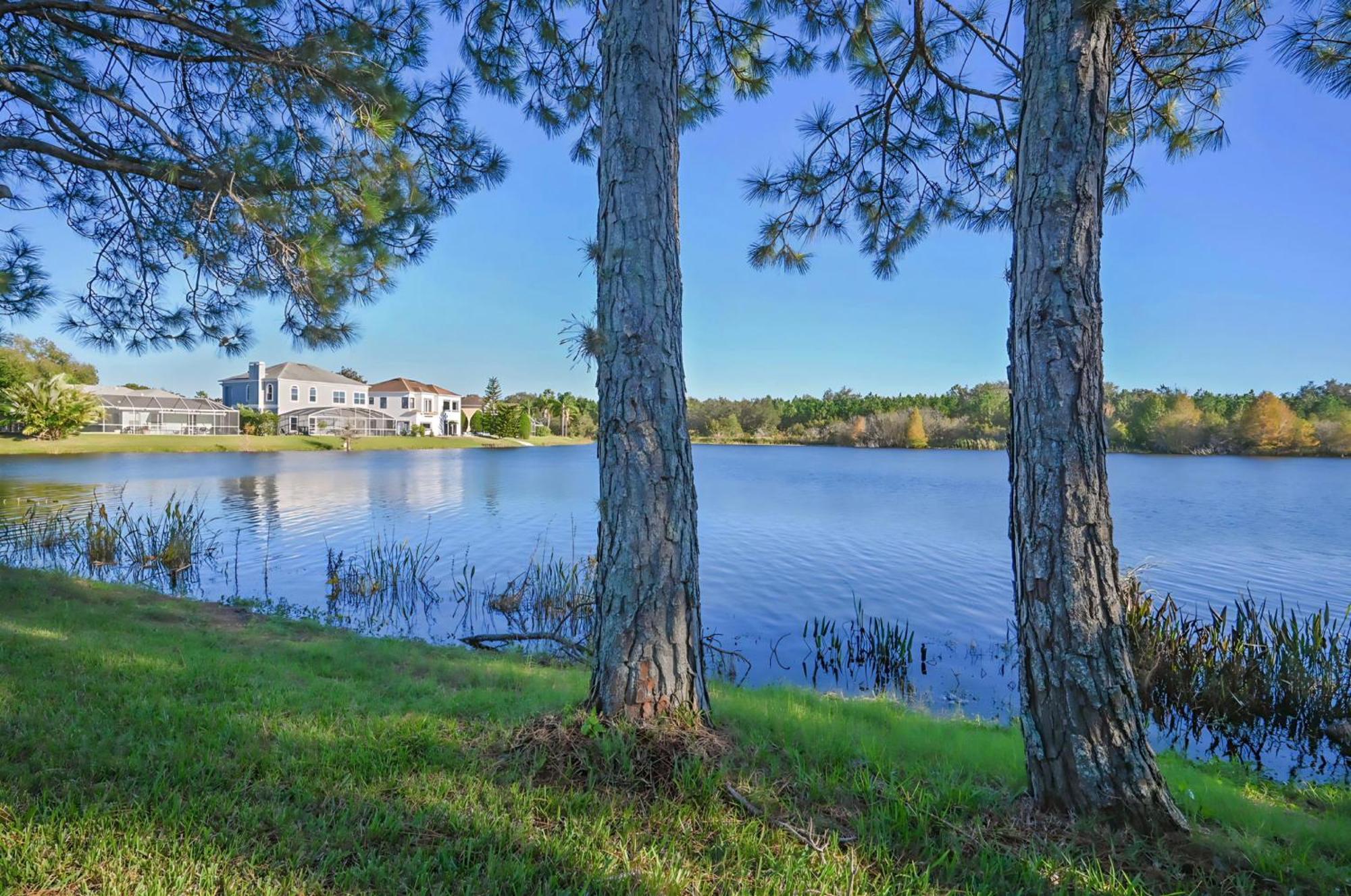 Disney World Getaway: 4 Bedroom - Sunroof - Bbq Bliss Orlando Exteriér fotografie